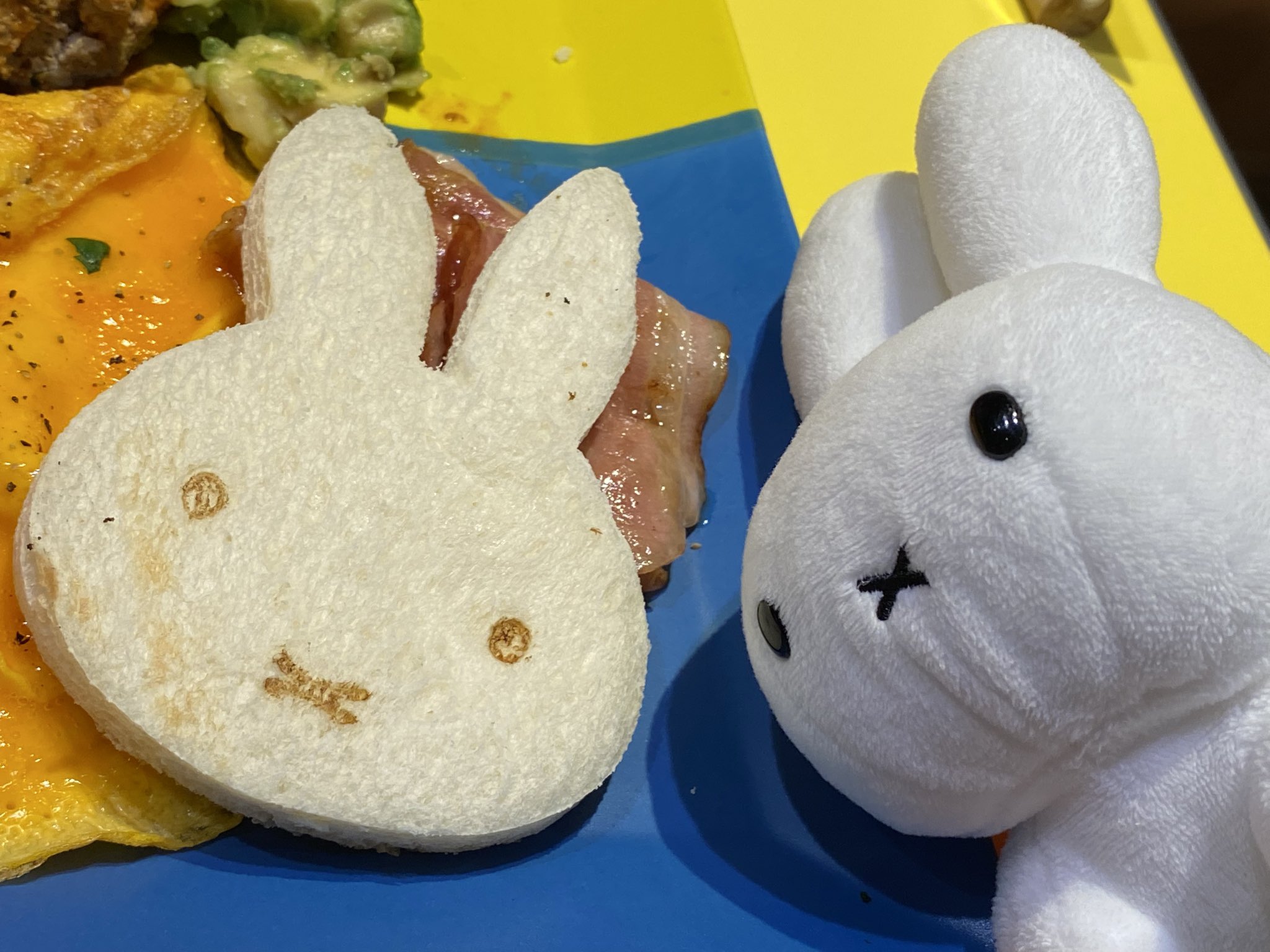 野生のうさぎ on X: 