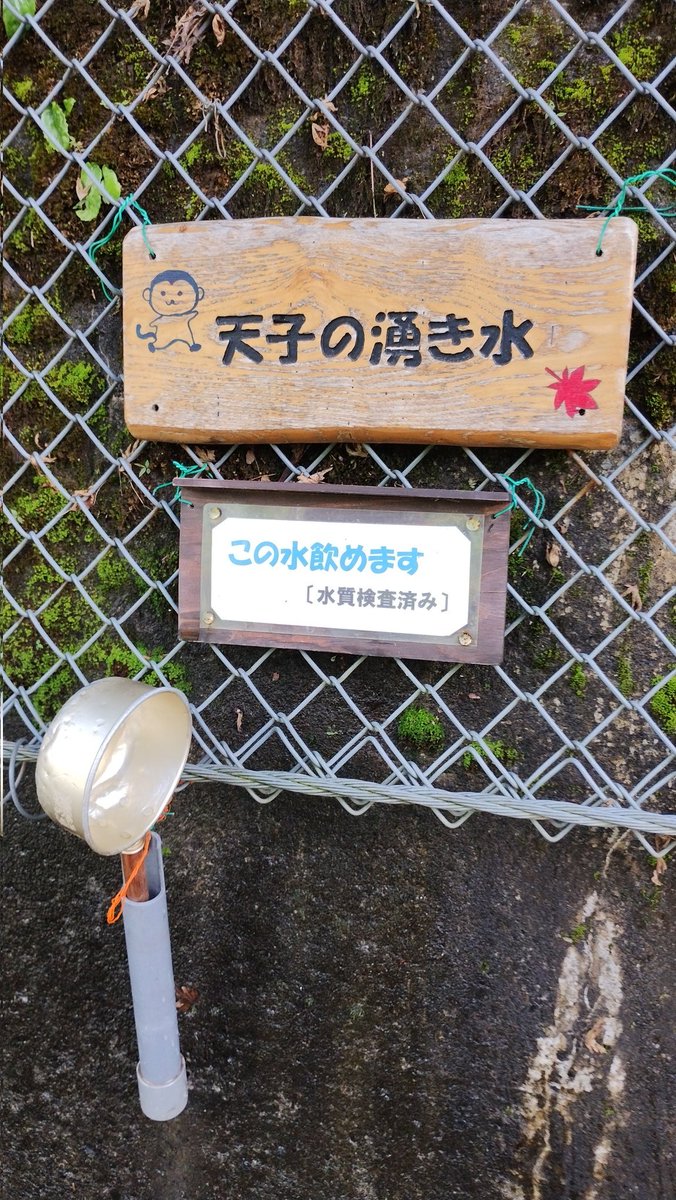 mzkatz1413's tweet image. 寸又峡。
冷た〜い湧き水でクールダウン。