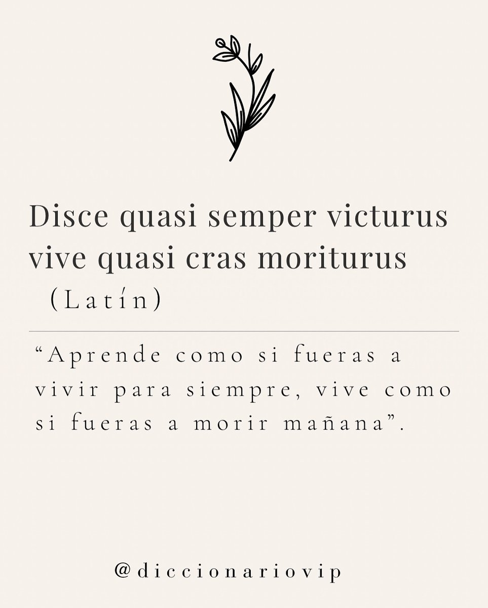 Diccionario VIP (@diccionariovip) on Twitter photo 