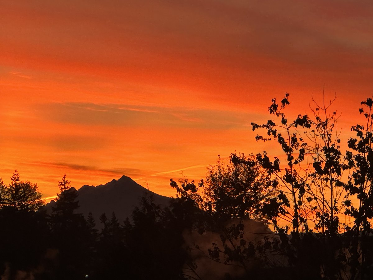 Theodore Landgraf tweet media