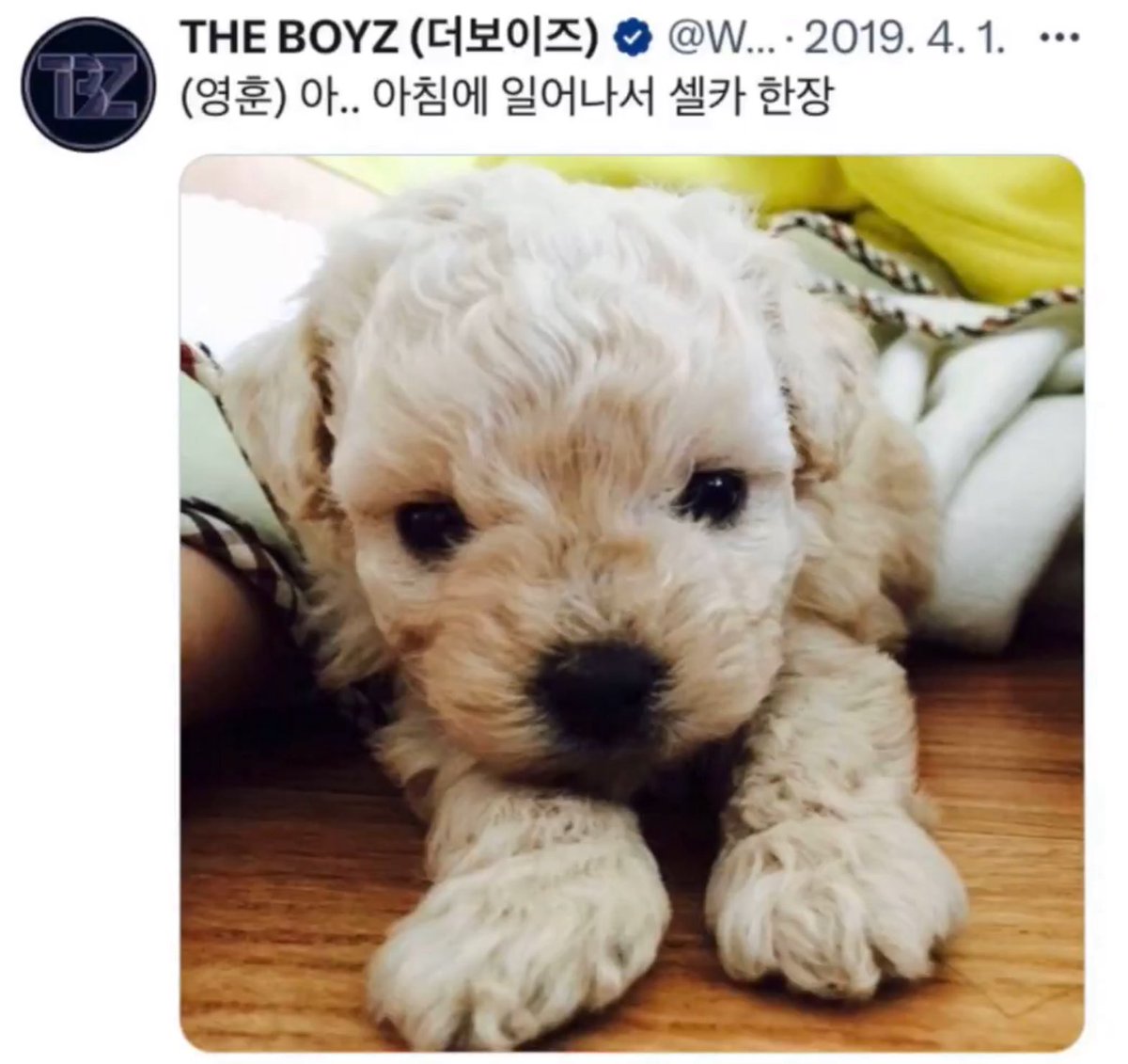 빵른 아카이브 (@right_bbang) on Twitter photo 