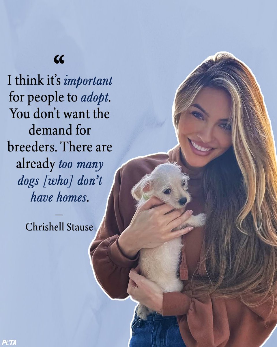 peta's tweet image. Happy birthday to the Selling Sunset star, Chrishell Stause 💕🏡
She knows that real love doesn’t come with a price tag—and the best dogs are waiting in shelters.
Thank you for using your platform to speak up for animals who deserve a second chance 🐶
