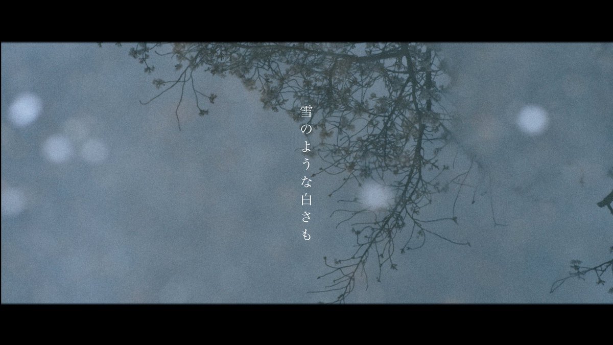pic_kn__'s tweet image. 生活