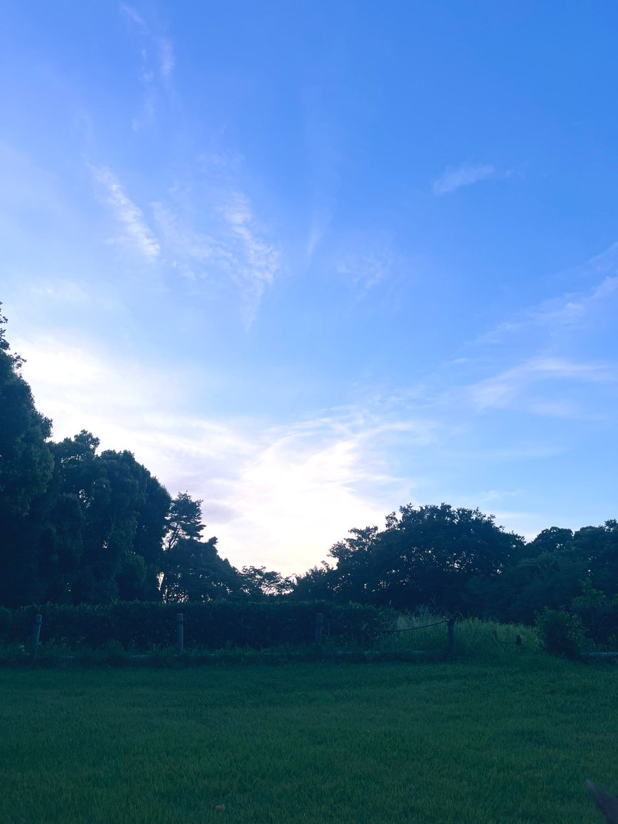 Y86483137's tweet image. 暑い1日だった〜☀️
夕方お散歩して🐾バトミントンもしてきた🏸
三連休もあっという間に終わっちゃったなぁ𓂃 𓈒𓏸◌