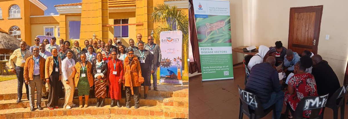 CoventryCAWR's tweet image. Dr Lovemore Gwiriri & Dr James Bennett attended the CLIPS-Africa inception meeting from 26–28 May in Palapye, Botswana. The meeting brought together over 40 farmers, industry, researchers, IDRC representative & government departments across Botswana & South Africa.