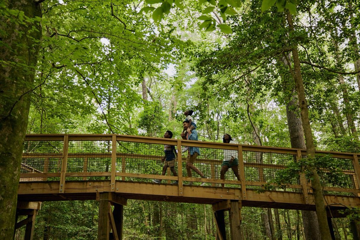 LakeMurrayCtry's tweet image. This summer, explore the wonders of Congaree National Park where ancient trees tower overhead and every turn reveals a new reason to slow down and look around.
📸 @Discover_SC
#TopSouthernDestination #LakeMurrayCountry #DiscoverSC #CongareeNationalPark