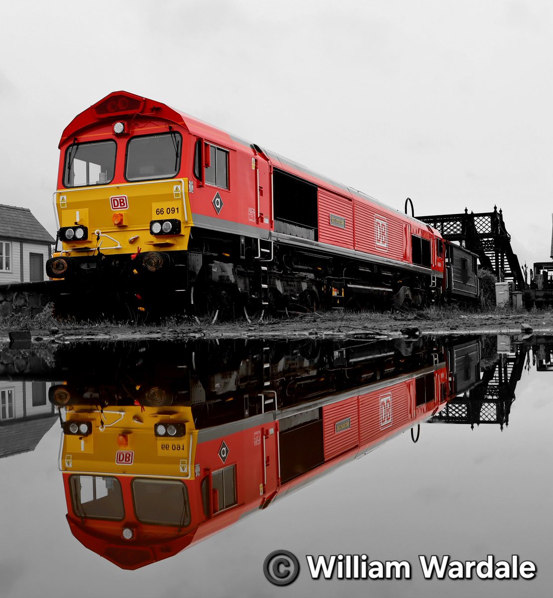 William Wardale (@williamwardale) on Twitter photo <a href="/DBCargoUK/">DB Cargo UK</a> class 66 number 66091 with its new name plate
<a href="/accurascale/">accurascale</a> at <a href="/midrlybutterley/">Midland Railway-Butterley</a>
Sunday 20th July 2025
<a href="/Northern_Travel/">Paul 🇬🇧 🏴</a> <a href="/TomDearlove1/">Tom🖤🤍</a> <a href="/BashirKhan2/">Bashir Khan</a> <a href="/JamesTGlossop/">James Glossop Travels</a> <a href="/Shaun__92/">Shaun Mattocks</a> <a href="/DBCargoUK/">DB Cargo UK</a> class 66 number 66091 with its new name plate
<a href="/accurascale/">accurascale</a> at <a href="/midrlybutterley/">Midland Railway-Butterley</a>
Sunday 20th July 2025
<a href="/Northern_Travel/">Paul 🇬🇧 🏴</a> <a href="/TomDearlove1/">Tom🖤🤍</a> <a href="/BashirKhan2/">Bashir Khan</a> <a href="/JamesTGlossop/">James Glossop Travels</a> <a href="/Shaun__92/">Shaun Mattocks</a>