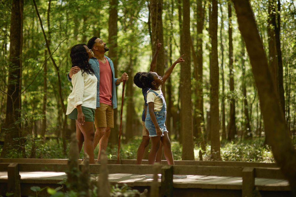 LakeMurrayCtry's tweet image. This summer, explore the wonders of Congaree National Park where ancient trees tower overhead and every turn reveals a new reason to slow down and look around.
📸 @Discover_SC
#TopSouthernDestination #LakeMurrayCountry #DiscoverSC #CongareeNationalPark