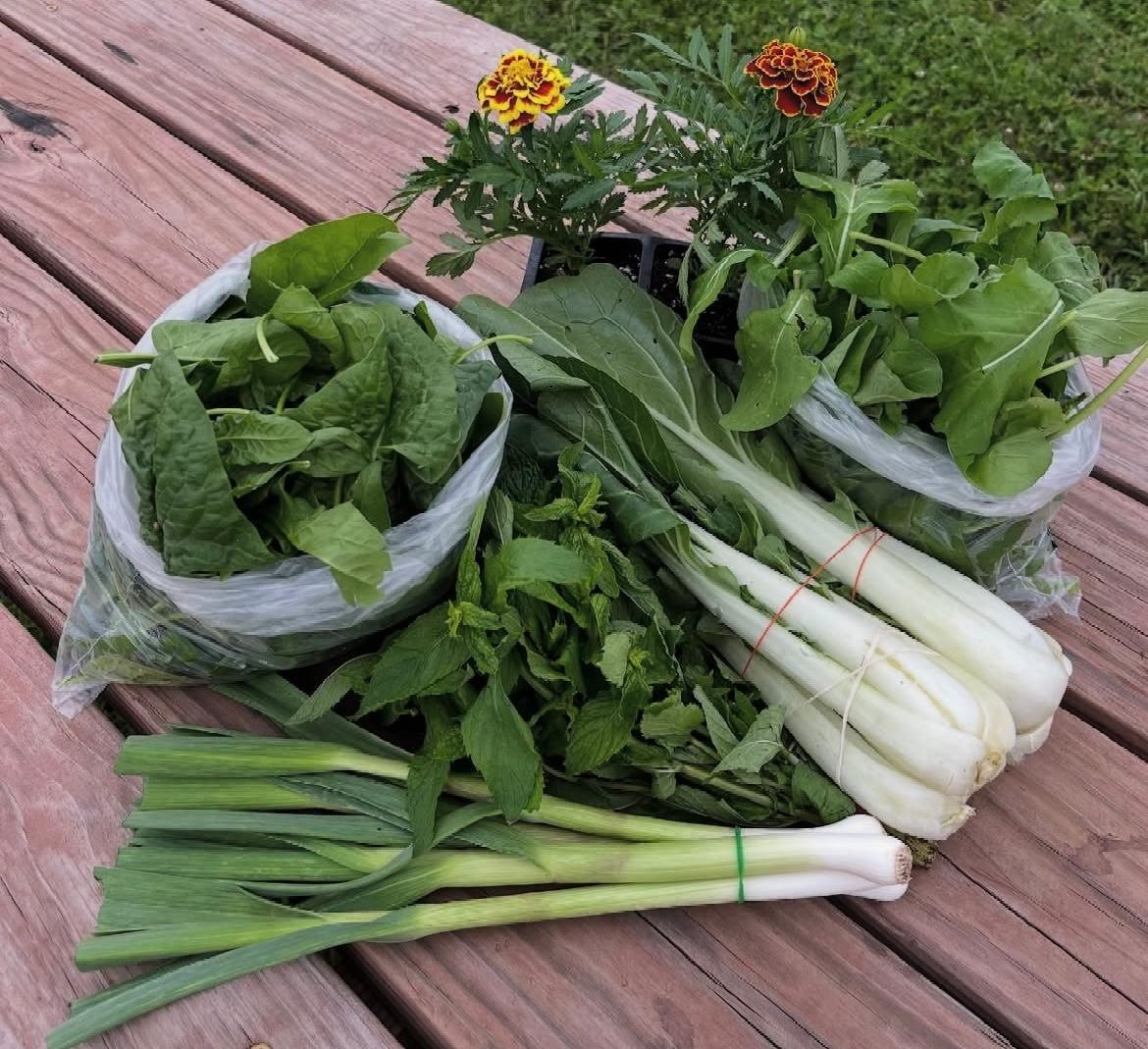 Support our New Roots farmers by purchasing a late summer farm share subscription. Each week, customers receive a Community-Supported Agriculture farm box containing 5-7 pre-selected, fresh produce ingredients from the harvest. Visit newrootskc.org to sign up today!
