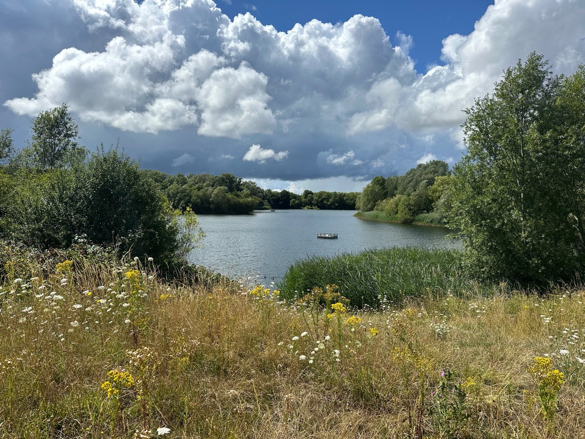 Crane Valley Partnership (@cvp_cranevalley) on Twitter photo #virtualtour of the Crane Valley: Bedfont Lakes Country Park in <a href="/LBofHounslow/">Hounslow Council</a>. This year marks the 30th anniversary of the opening of this lovely park.
<a href="/LondonNPC/">London National Park City*</a> <a href="/TheLamptonGroup/">Lampton Group</a> <a href="/BedfontLakesVol/">Bedfont Lakes Vols</a> <a href="/bedfontparkrun/">BedfontLakes parkrun</a> <a href="/habsandheritage/">Habitats & Heritage</a> <a href="/LetOutside/">Let's Go Outside & Learn</a> <a href="/FriendsRivCrane/">FORCE</a> #virtualtour of the Crane Valley: Bedfont Lakes Country Park in <a href="/LBofHounslow/">Hounslow Council</a>. This year marks the 30th anniversary of the opening of this lovely park.
<a href="/LondonNPC/">London National Park City*</a> <a href="/TheLamptonGroup/">Lampton Group</a> <a href="/BedfontLakesVol/">Bedfont Lakes Vols</a> <a href="/bedfontparkrun/">BedfontLakes parkrun</a> <a href="/habsandheritage/">Habitats & Heritage</a> <a href="/LetOutside/">Let's Go Outside & Learn</a> <a href="/FriendsRivCrane/">FORCE</a>