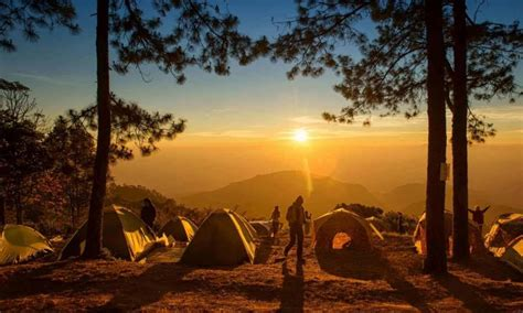 ZetaTalk:  Survival Groups

Survival groups will be composed of a variety of diverse folk, shortly after the Shift and in the long term. We will give some examples, in explanation, as the variety  possible is endless, but some predictable patterns will repeat often.

Example 1 
A