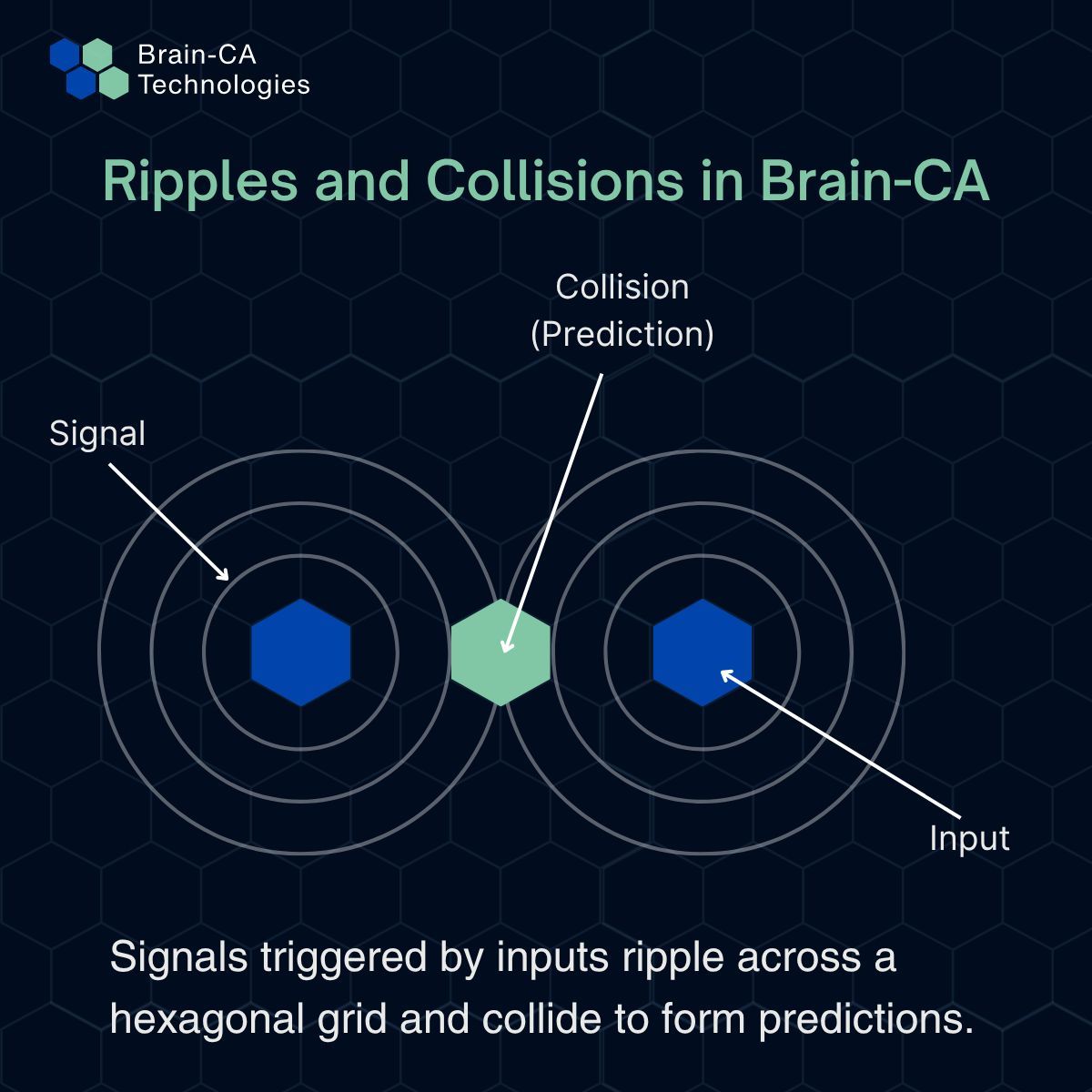 BrainCATech's tweet image. Brain-CA doesn’t train with loops or gradients.
It sends ripples through a grid.
When signals collide, it learns.
Prediction from motion—not math.
brain-ca.com/the-grid-that-… 

#EmergentAI #BrainCA #MinimalistAI