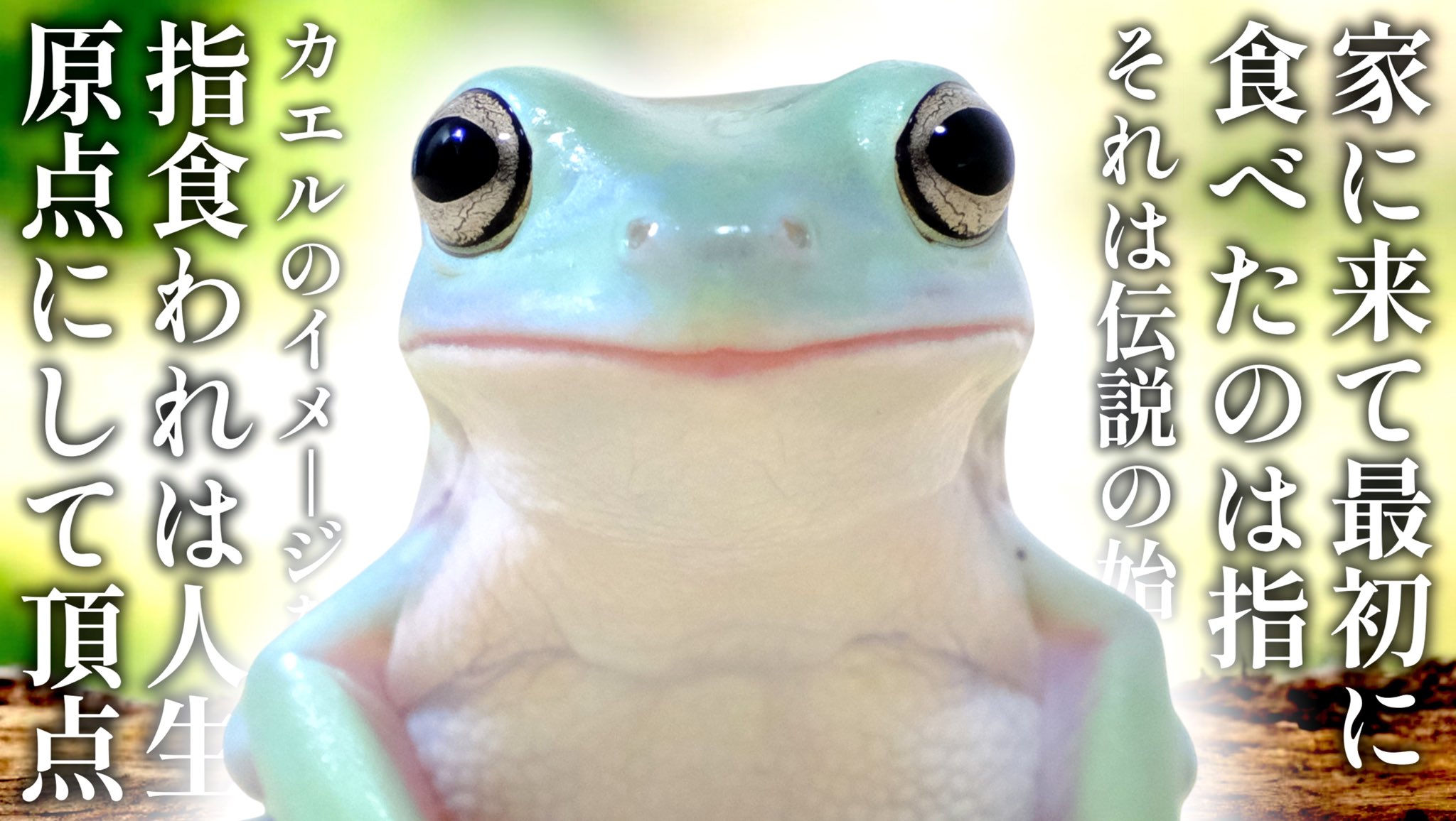 世界カエル指食われ協会 むしさんグッズ パーカー2着まとめ売り 要状態確認 世界カエル指食われ協会 (@mushi_frog) / X