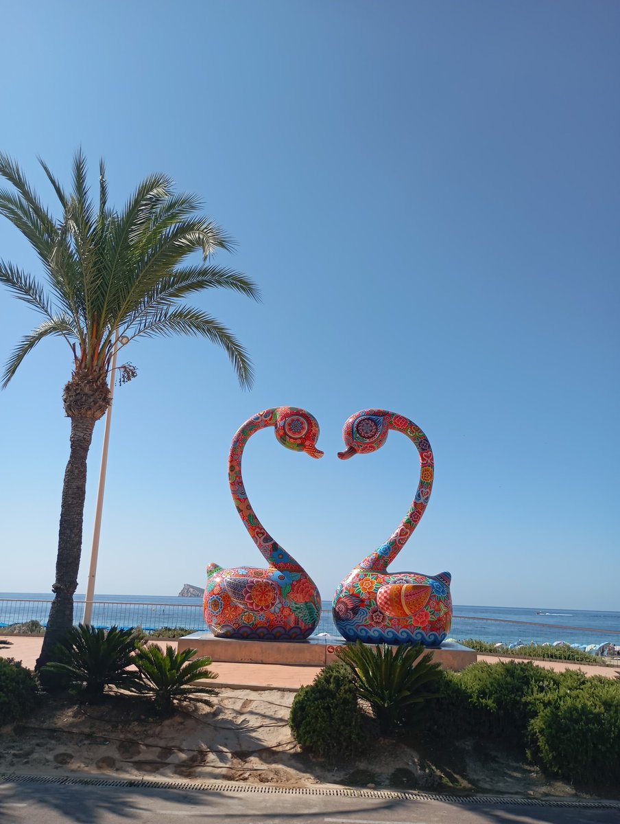 Qué bien se está cuando se está bien! En la playita de Poniente de Benidorm!
#benidorm