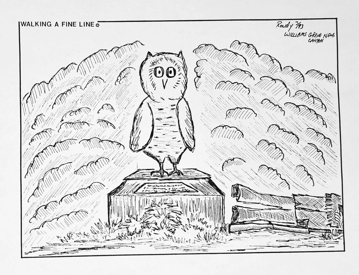 #rowdywalkercartoons #editorialcartoons #vintagecartoons #editorialcartoonist #williamsgrandcanyonnews