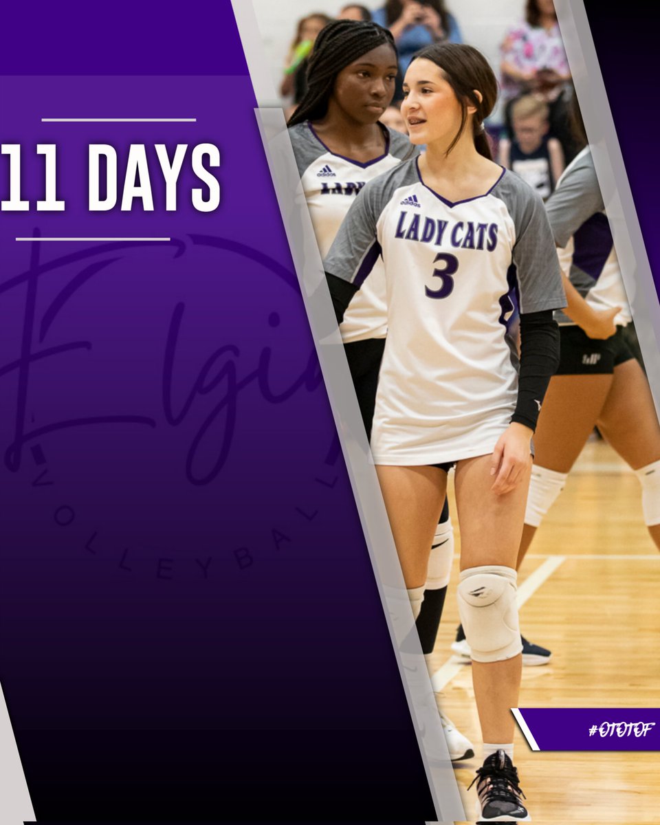 Elgin Wildcat Volleyball (@elginvball) on Twitter photo 🏐 11 Days Out
Feet moving. Voices loud.
 Energy unmatched.
 #11DaysOut  #OTOTOF 🏐 11 Days Out
Feet moving. Voices loud.
 Energy unmatched.
 #11DaysOut  #OTOTOF