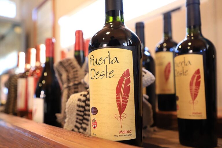 🍇 Senillosa se prepara para su 2° evento de agroturismo: bodegas, productores y emprendedores rurales compartirán sus elaboraciones con el público.
📅 Fecha, a confirmar.

realidadeconomica.com.ar/senillosa-prep…