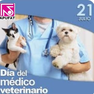 APUFAT (@apufatucv) on Twitter photo 