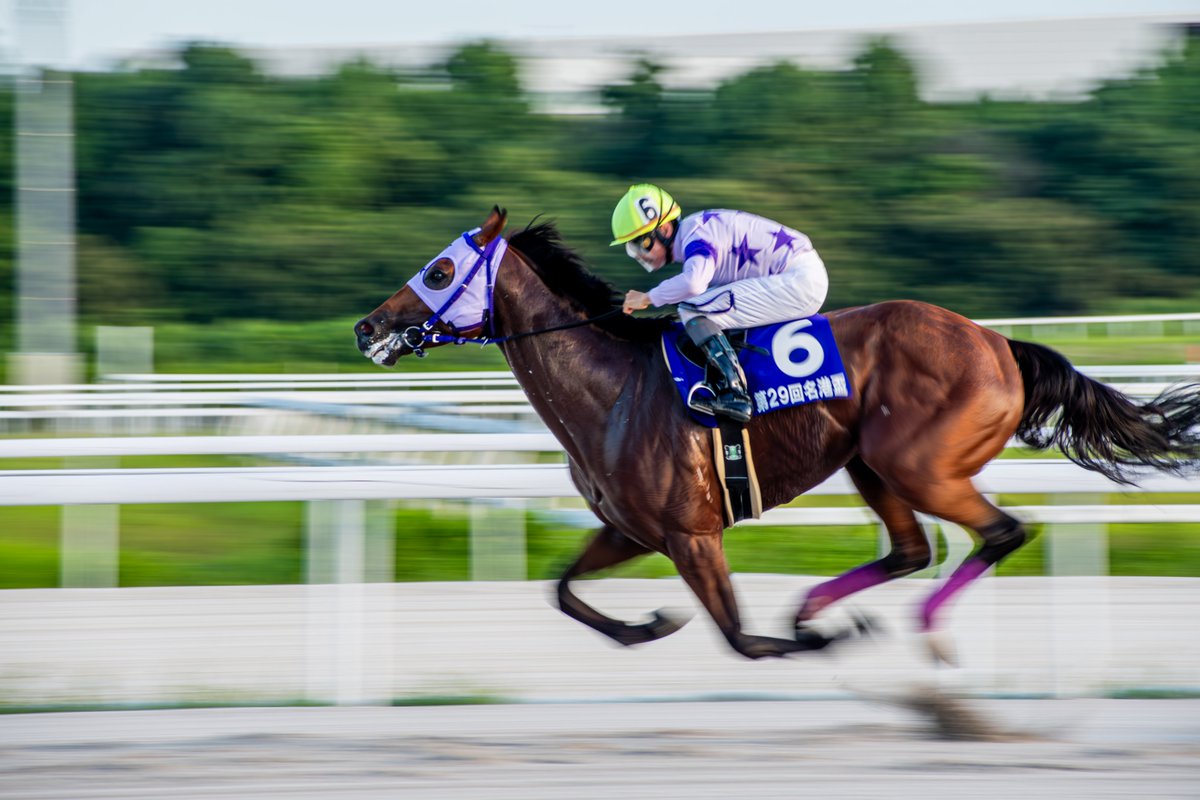 sndb_21's tweet image. #サンテックス
#名港盃 
逃げ切り勝ちで強かった。
流し撮りは難しい...