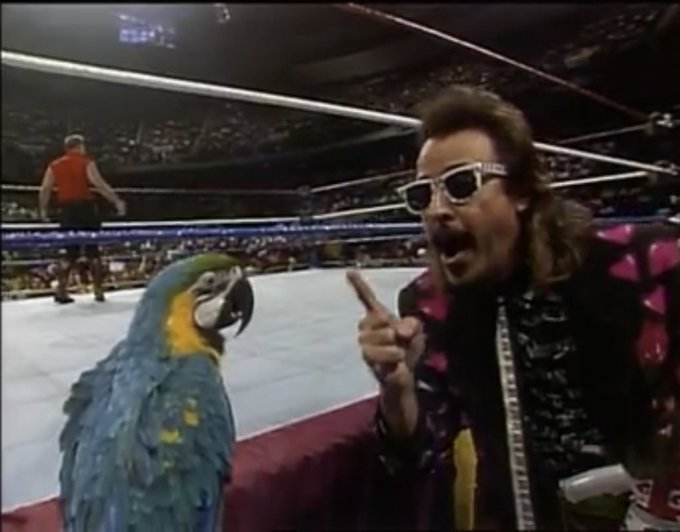 the_joe_marotta's tweet image. another reason why Jimmy Hart is one of the greatest ever