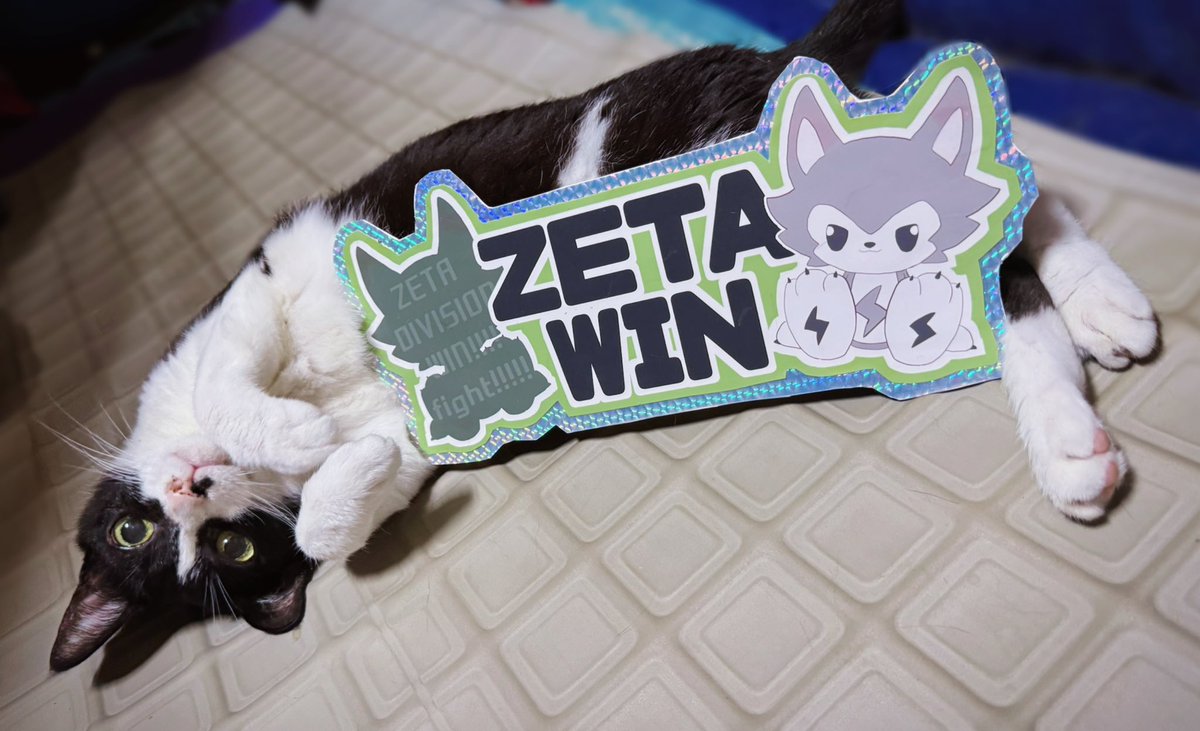 d3neko's tweet image. プレイオフに向けて作ったZETA応援ボードとカメラ目線のネコ