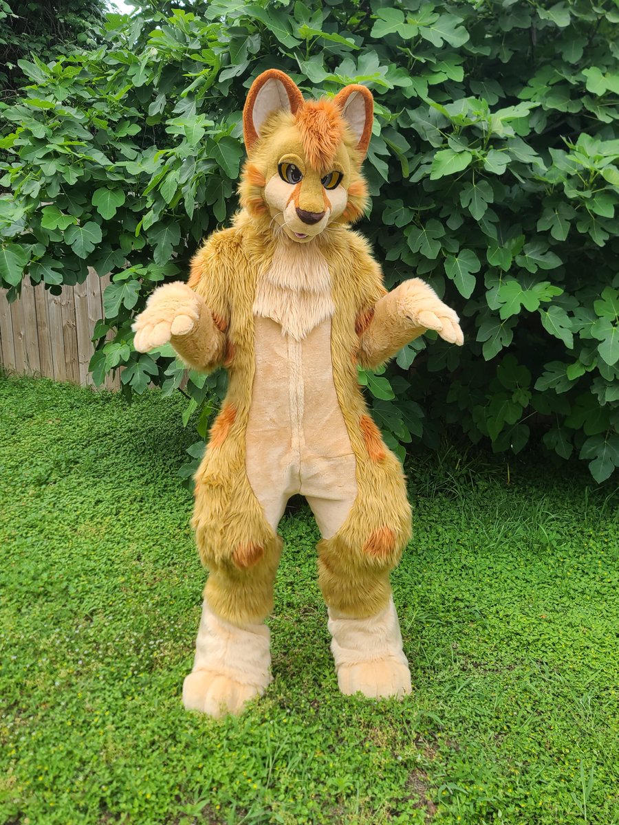 Guess what! 👀

✨️Commissions are open and payment plans are available✨️

We do all kinds of species and offer many special features, LEDs, styles and accessories. Feel free to fill out my quote form!

docs.google.com/forms/d/e/1FAI…

Sharing is appreciated 🐀🐈