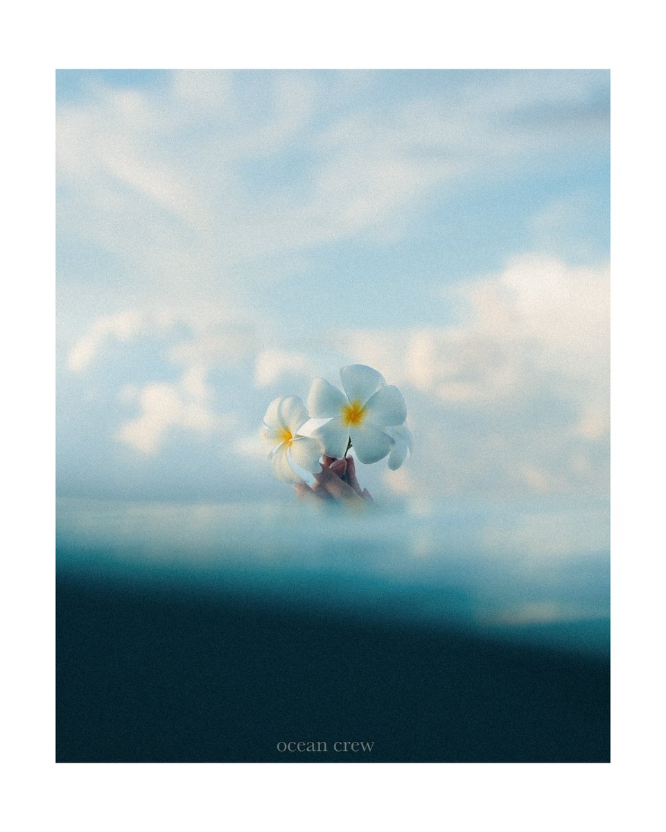 ocean__crew's tweet image. 海に咲く花

空の青と海の青。