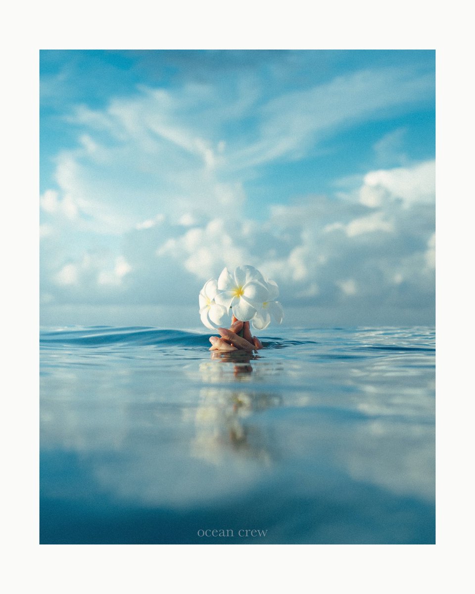 ocean__crew's tweet image. 海に咲く花

空の青と海の青。