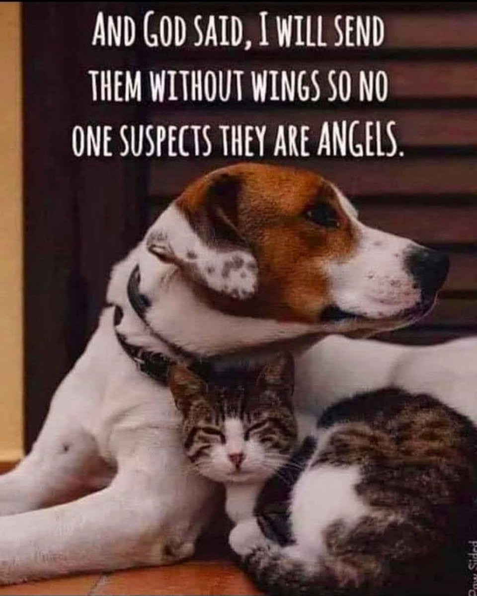 Thursday (@ennui365) on Twitter photo 