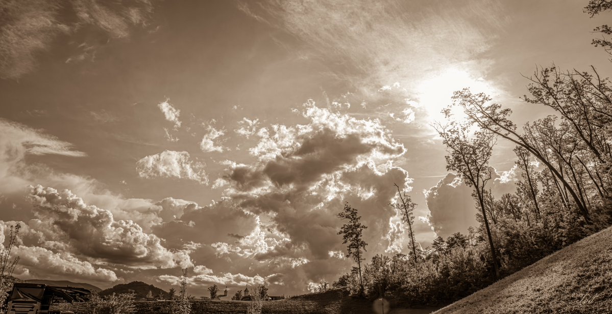 TedGrzelka's tweet image. Monochrome Monday. Life in grayscale. Yet full of depth. Wishing y'all a stellar day ahead.