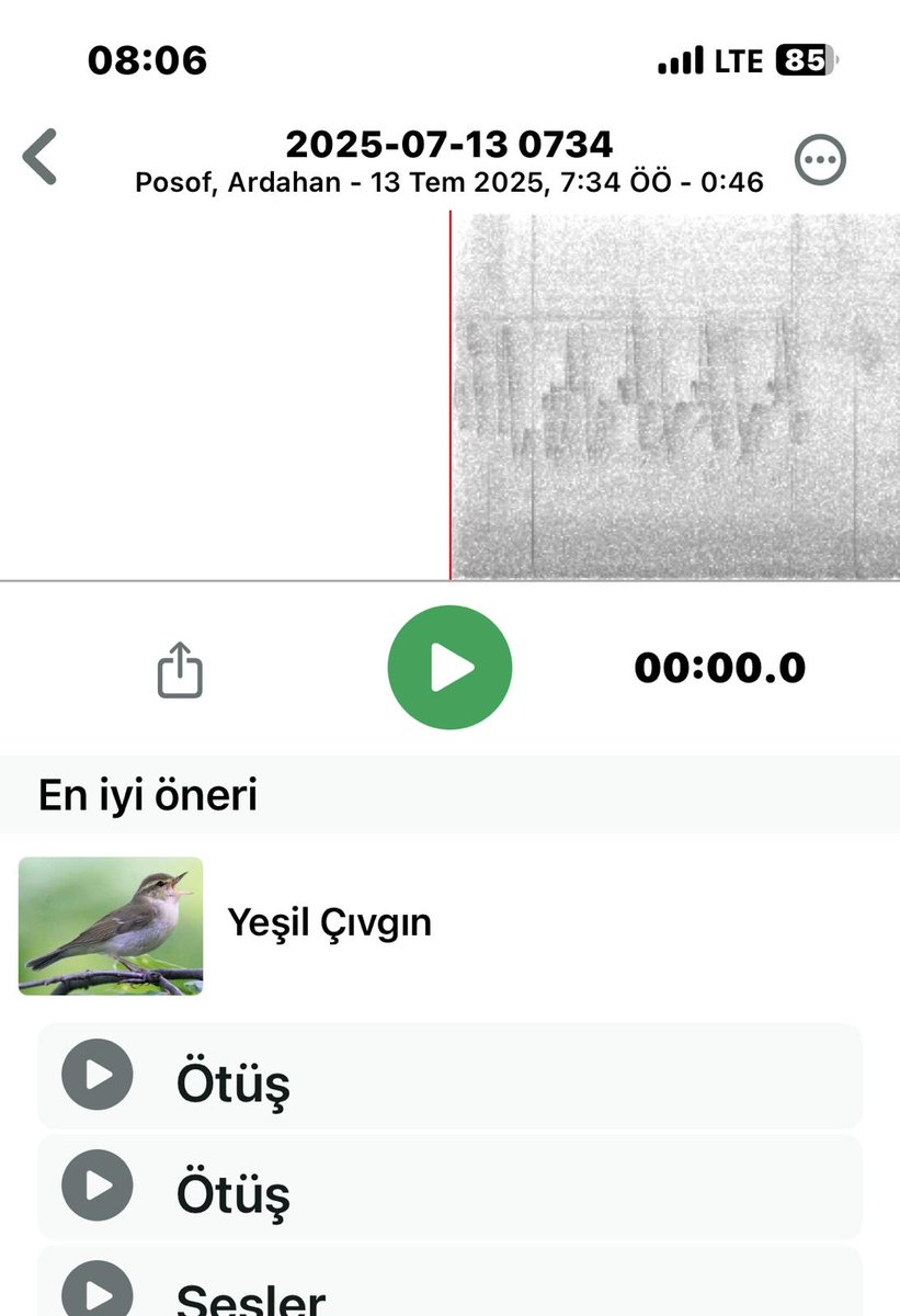 Ardahan Posof'ta kelebek arıyorum. 
Güzel bir ses. 
Hemen Merlin e baktım. Yeşil çıvgın.
Bingoo kertik yazar. :)) Neyse ki gösterdi kendisini.