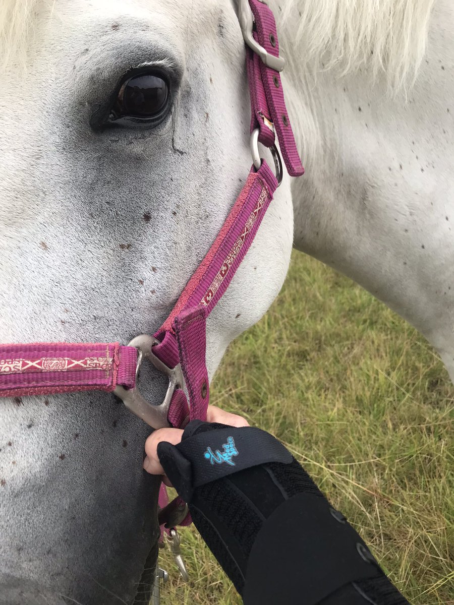 Back to almost normal. X-rays ok, plaster cast removed and the nurse provided me with a very fancy wrist support for when I handle the ponies. (If I promised not to tell the surgeon). 
It’s always other peoples horses… 
😐🏥🚨
#ponyhour #recovery