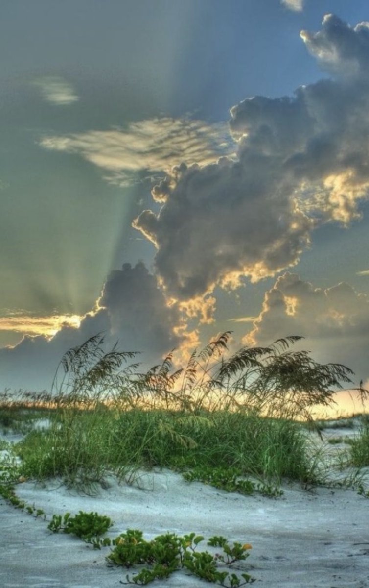 Myprayersforu's tweet image. Dear Lord, Heavenly Father, let Your Holy Spirit speak words of wisdom and guidance over our lives today. Give us the wisdom to work that all may experience the joy of life, liberty and the pursuit of happiness. Grant us Your insight that we may grow our faith with knowledge and…