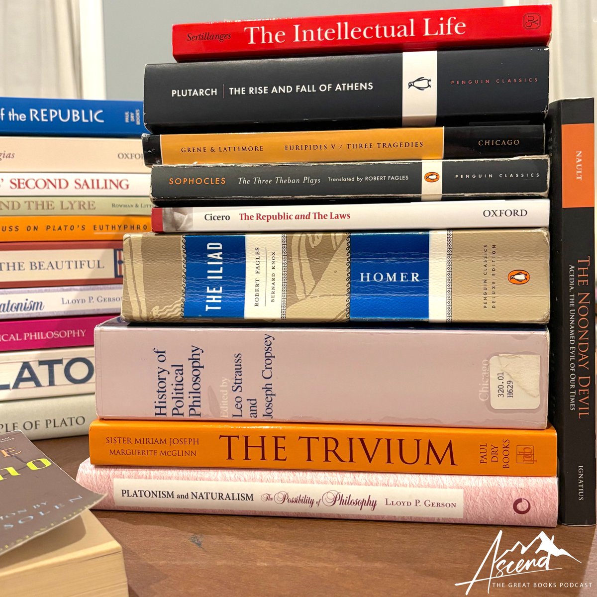 TheGreatB00ks's tweet image. What is the ONE BOOK that if everyone read the world would be a better place?📚🌎