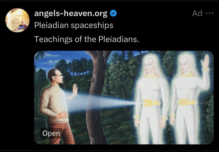 IpseBellum's tweet image. ||: They’re trying to recruit me
