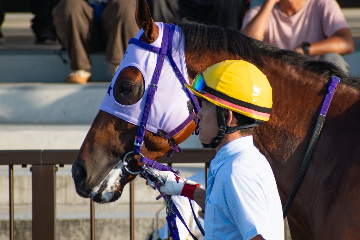 sndb_21's tweet image. #サンテックス
#名港盃 
逃げ切り勝ちで強かった。
流し撮りは難しい...