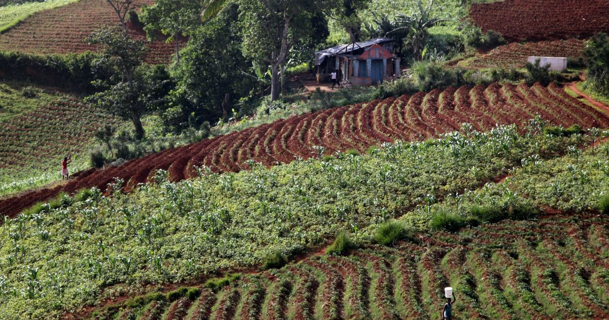 UN_Water's tweet image. Chemical contaminants in agrifood systems pose rising food safety risks — especially in water-scarce regions.
A new report by @FAO and @WHO highlights the urgent need to improve water quality management.
🔗 buff.ly/GhEZw2Z
#WaterAction = #ClimateAction