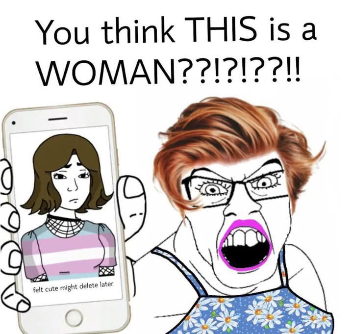 terfs finding 50yo crossdressers on flickr to make a point meanwhile all the trans girls my age just look like normal girls their age