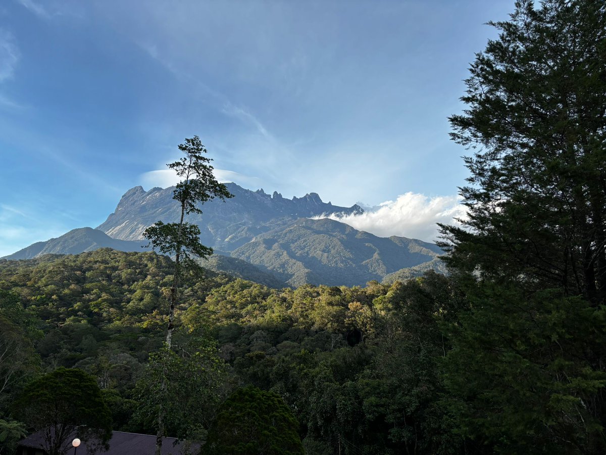 DGS Visits tweet media