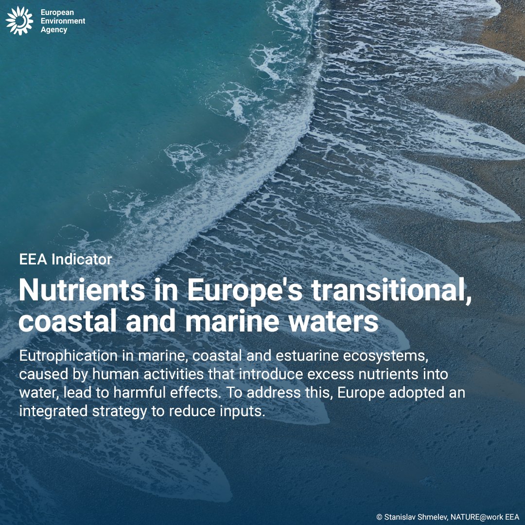 EUEnvironment's tweet image. 📉 Pollution from for example cities, industry and agriculture still fuels eutrophication in the Baltic, Black, and Greater North Seas, as well as parts of the Mediterranean.
Dive deeper into the data with our indicator: eea.europa.eu/en/analysis/in…