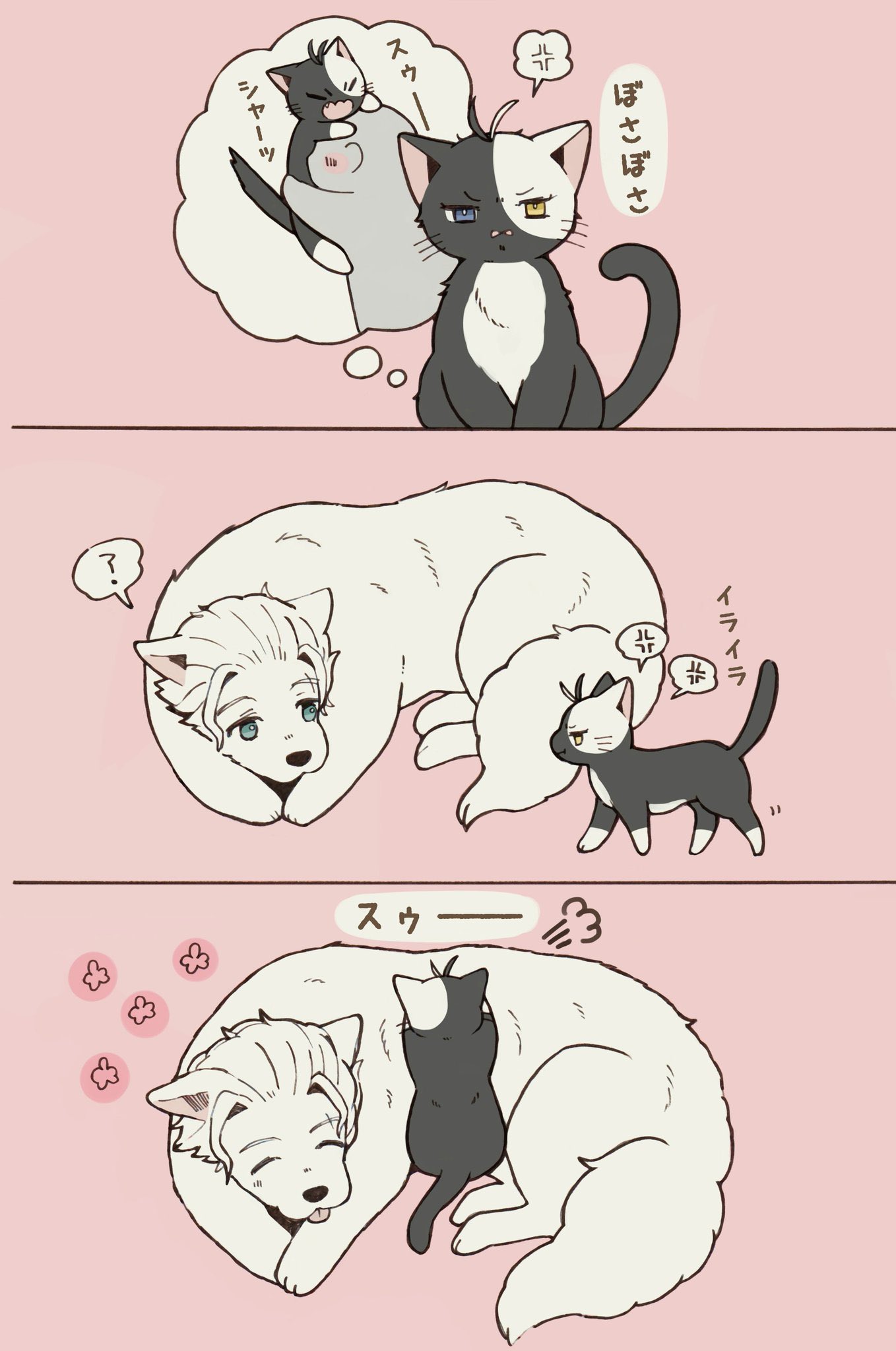 猫さん Amazon.co.jp: サンエックス にゃんにゃんにゃんこ B6SP