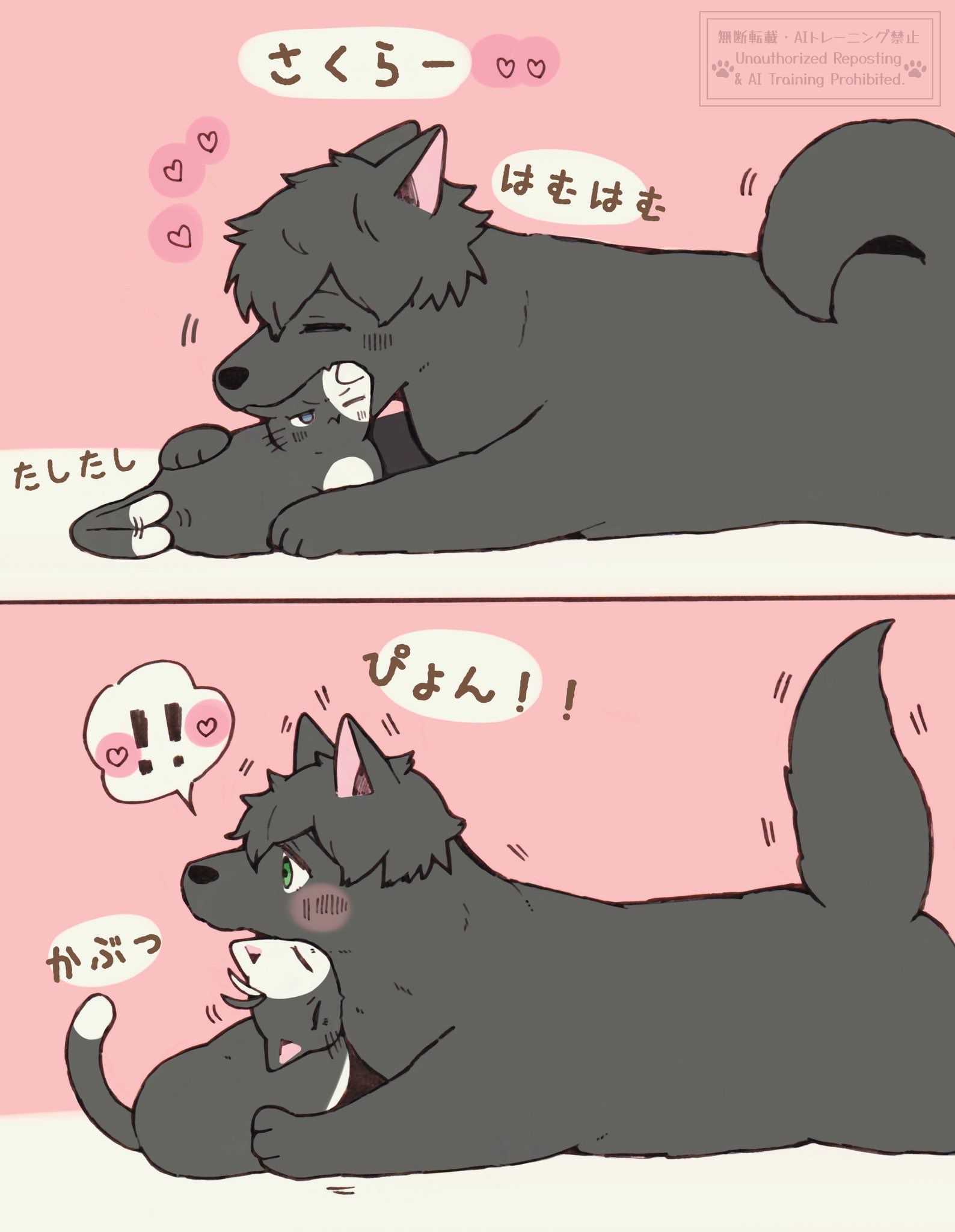 猫さん coto🐈‍⬛🌸🌱 (@coto_neko3) / X