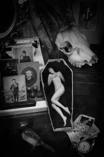 PhiloInconnu's tweet image. [Isabelle Royet-Journoud]