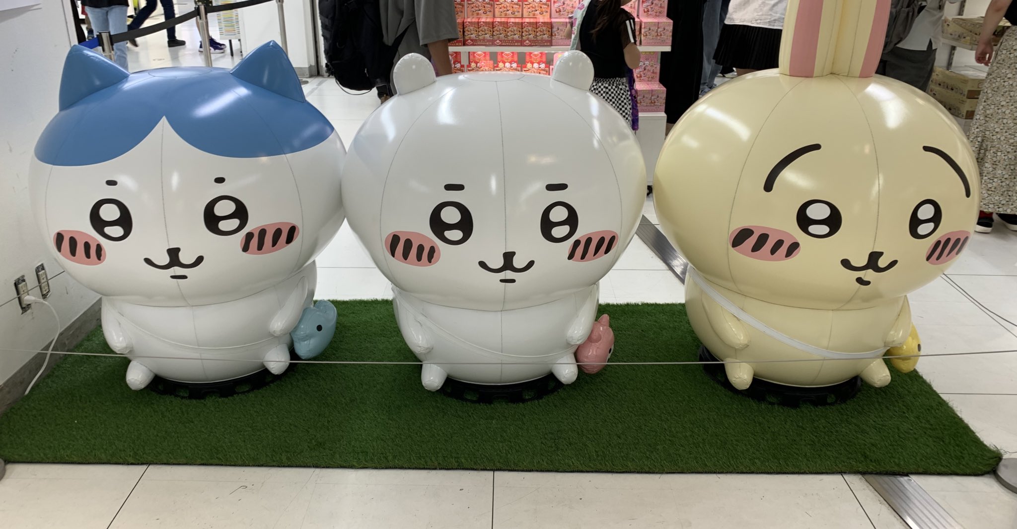 ⭐︎バラ売り1枚1500円⭐︎龍宮城 秘密少年 2L Amazon.co.jp: 龍宮城 秘密を持った少年たち 2L KENT S : Toys