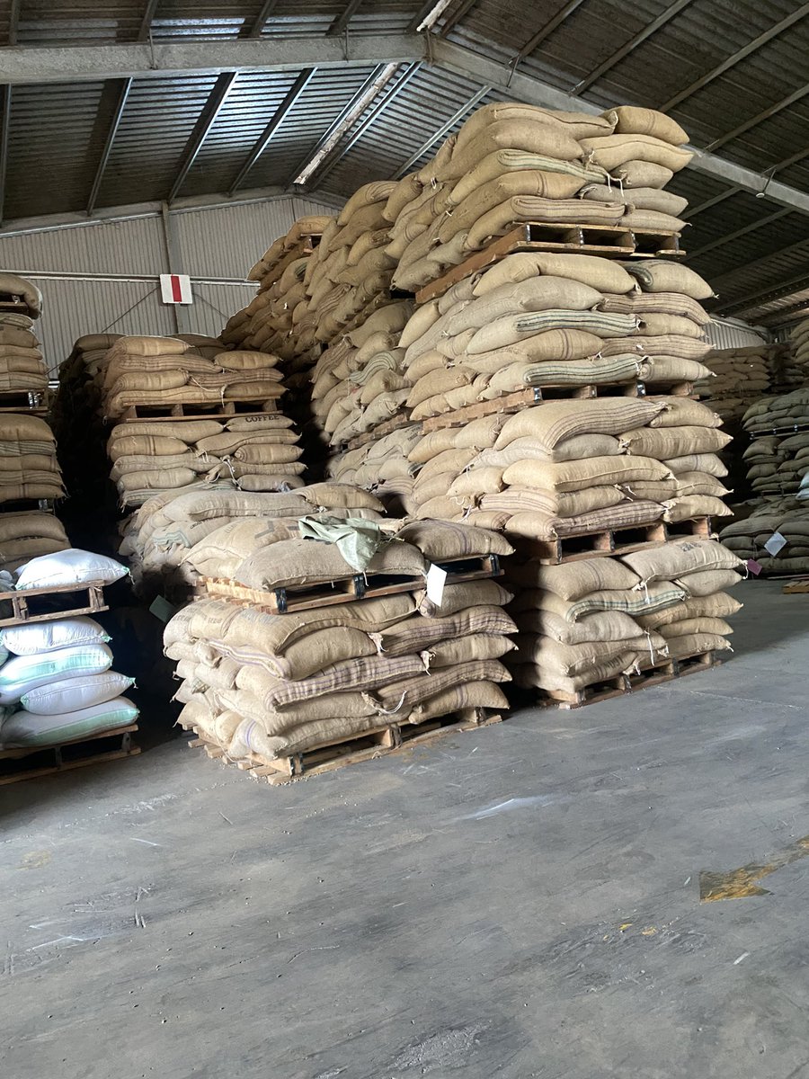 Muganzisecure's tweet image. After a long weekend’s work finally our consignment is ready to go to Italy as we intend to set the trend as a youth led company that produces and exports high quality premium coffee from Uganda to the globe 🌍 and yes we take pride in being youth led and centered