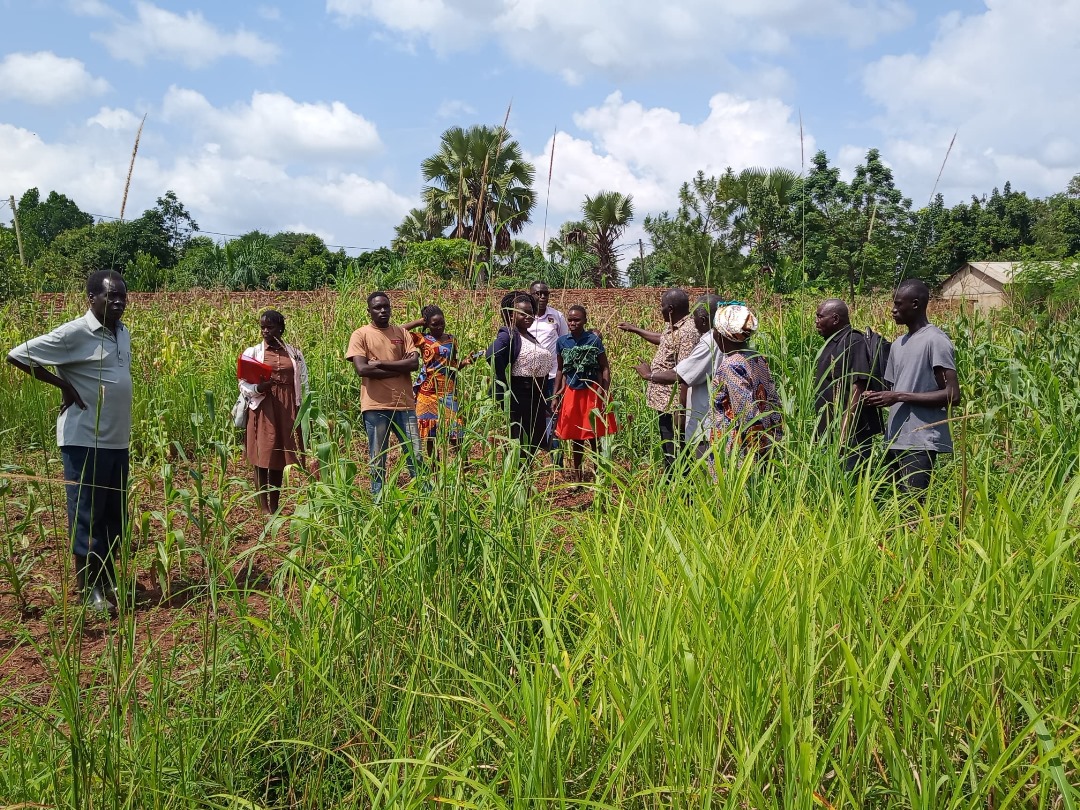 FIDA_Uganda's tweet image. Locus mediations are community-based dispute resolution sessions held directly at the site of a conflict. They foster fairness, transparency, and inclusive participation, especially in cases involving land, inheritance, and family disputes. ⚖️
Under the @wecannotwait project, we…