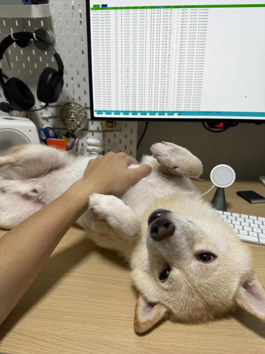 one of the reason you get pip