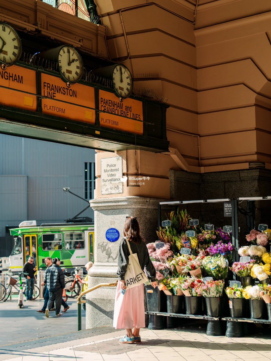 Pretty sure I'm falling in love with Melbourne one street corner at a time. ✨ This city just has that vibe! Currently pretending I know exactly where I'm going, but mostly just enjoying the view (and stopping for coffee every five minutes). 😉