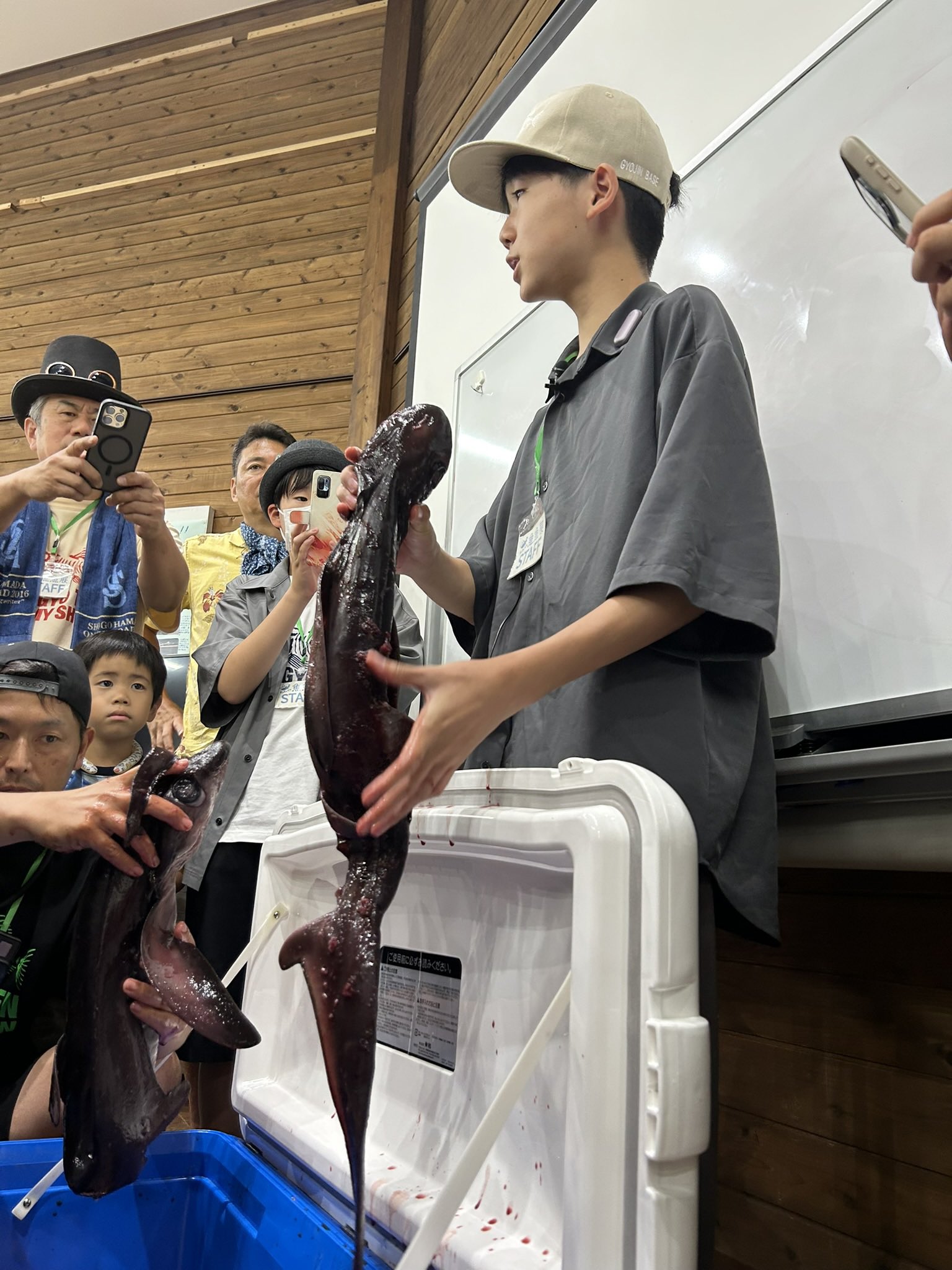 東京湾の魚類/平凡社/加納光樹（単行本（ソフトカバー）） Amazon.co.jp: 東京湾の魚類 : 河野 博, 加納 光樹, 横尾 俊博: 本