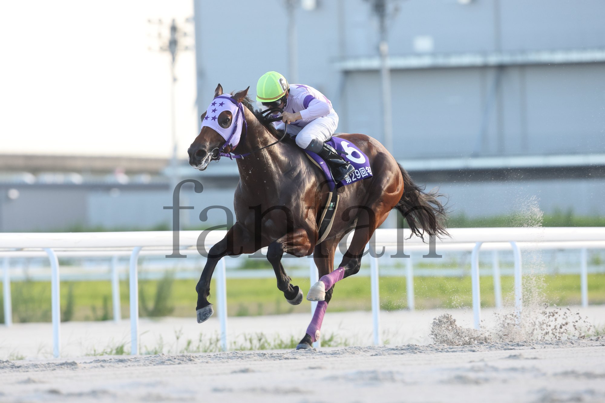 【中古】 競馬探偵Ｘの大正解 ２０１０年秋冬＆２０１１年金杯までの予想/メタモル出版/競馬探偵Ｘ 熱販売 競馬探偵Xの大正解: 競馬 | 2010年秋冬&2011年金杯までの